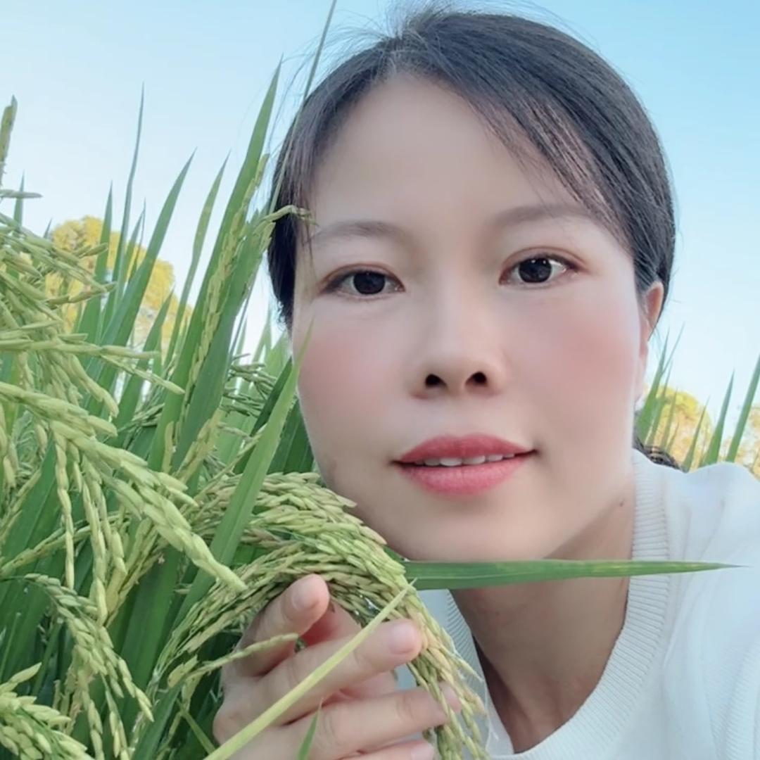 闽蓝