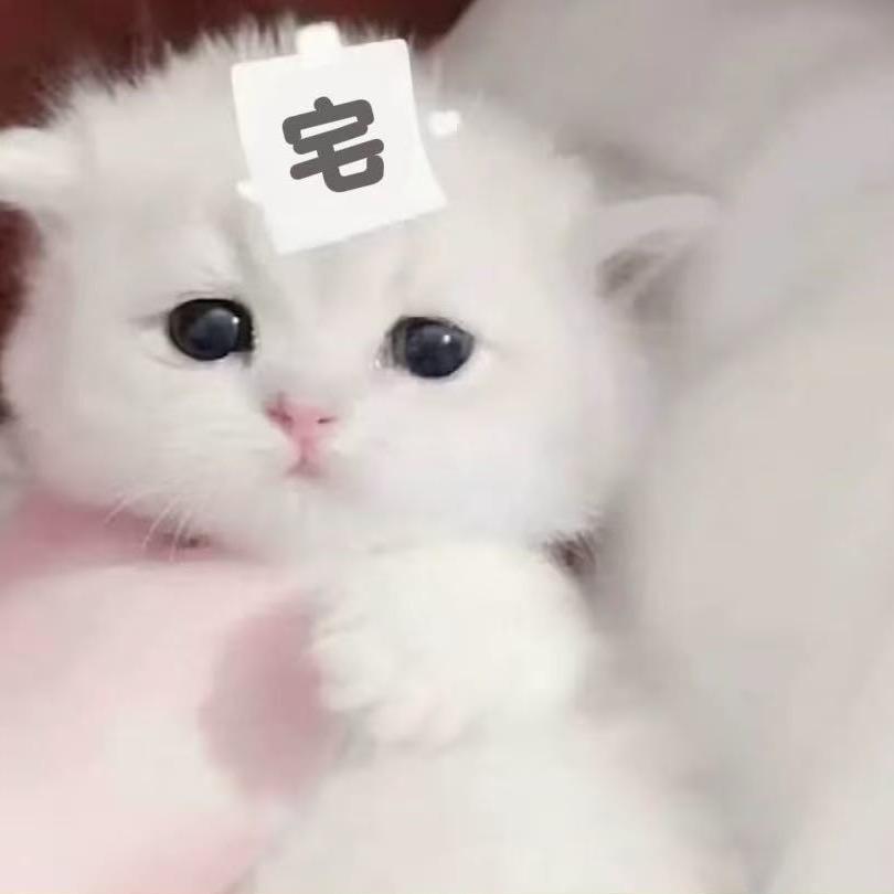 亦不如初
