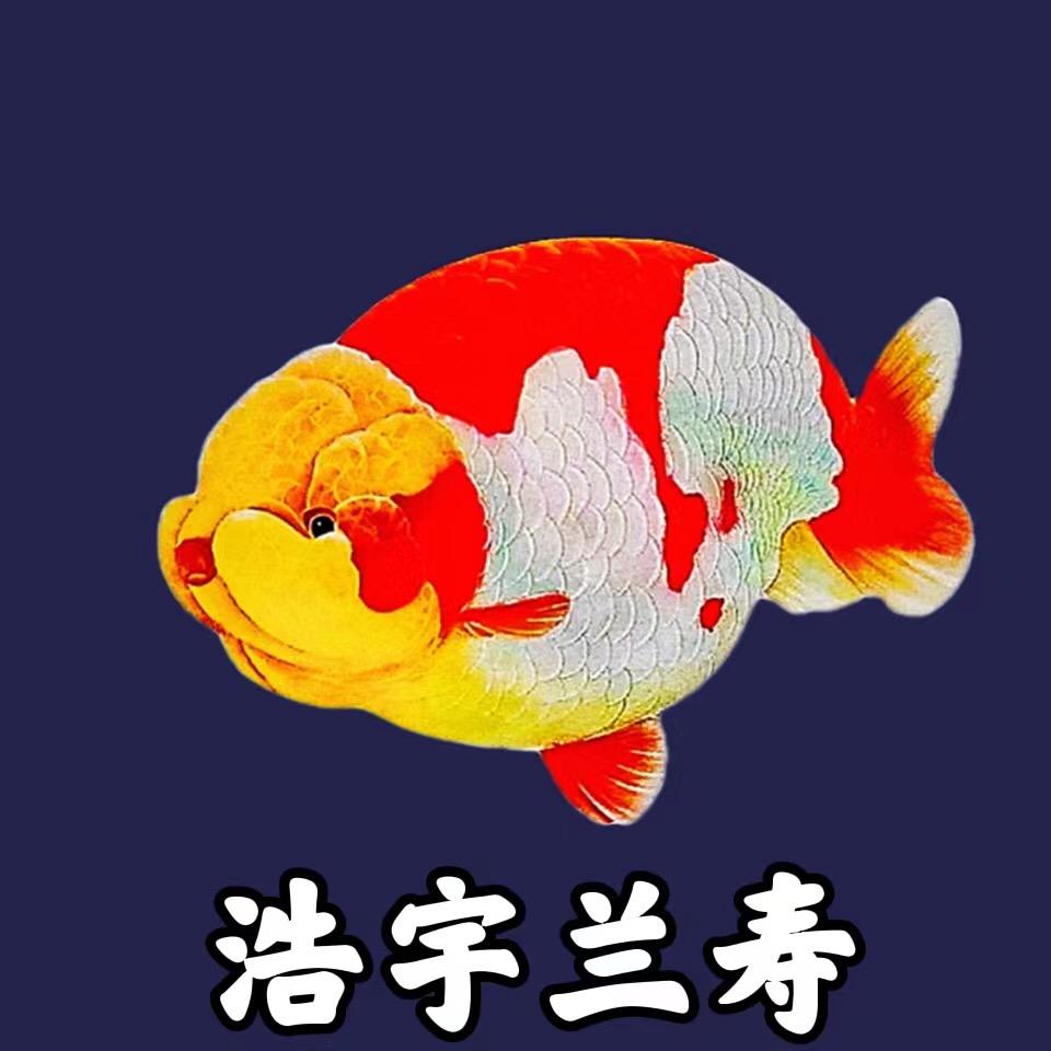 宇航渔业