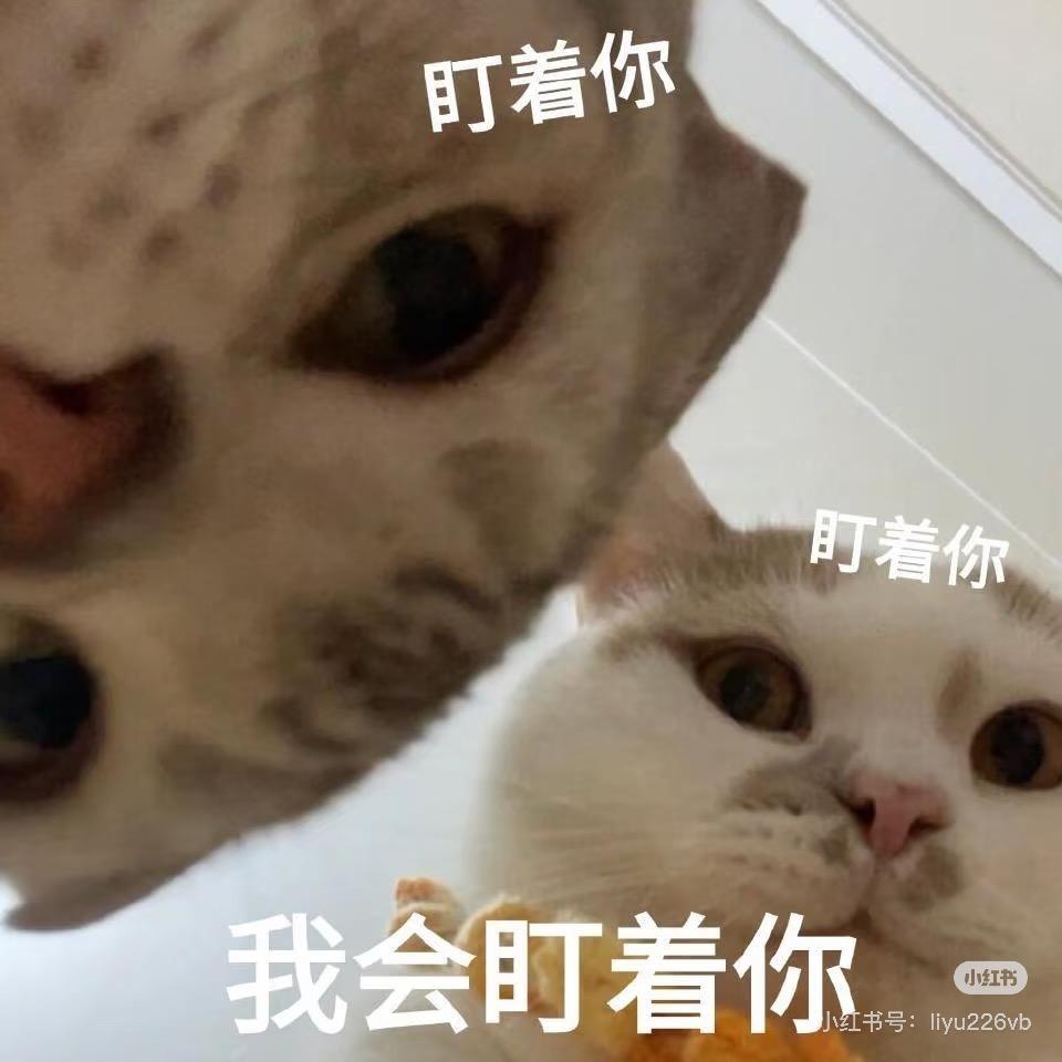 松紫～🐿️