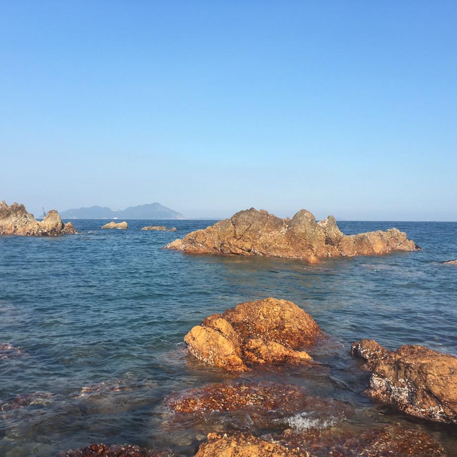 青枫_