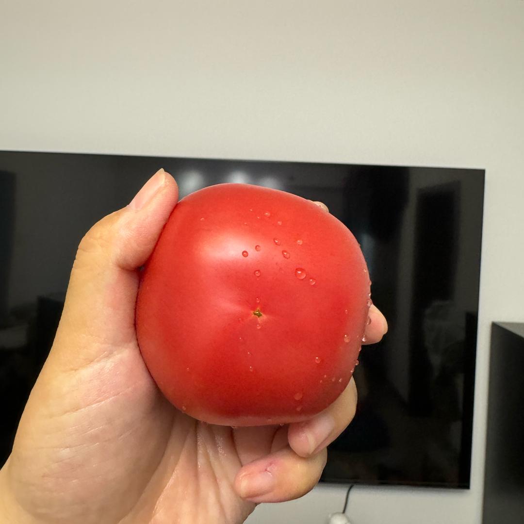 一颗西红柿🍅
