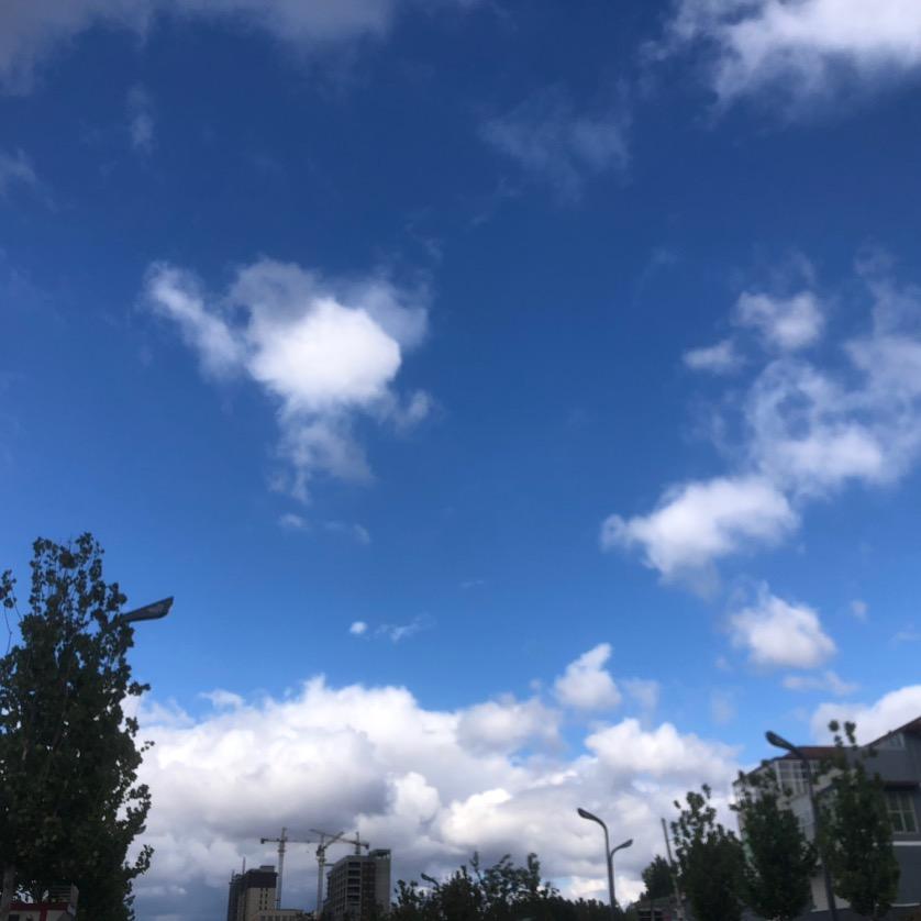 珍惜