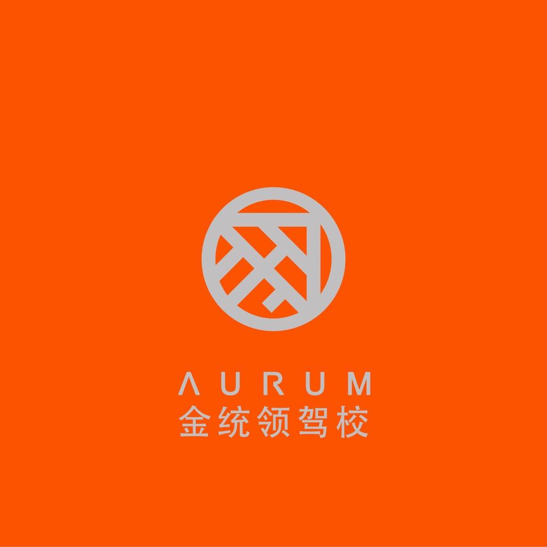 金统领好教练