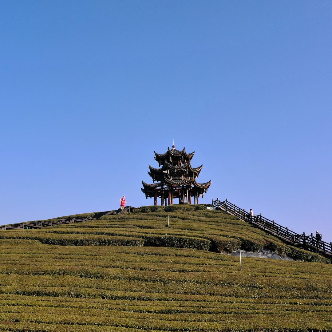 羡羡(手机摄影）
