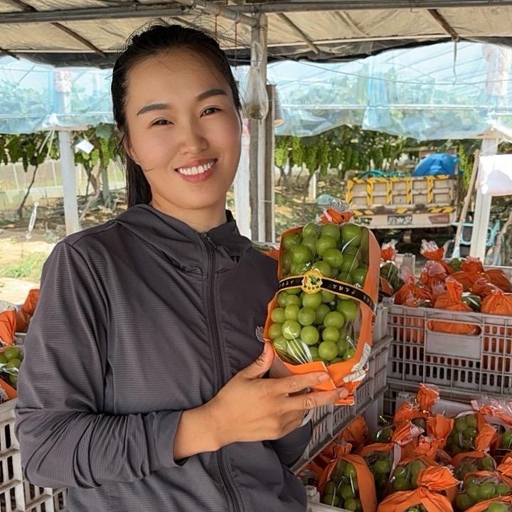 闪闪呀（葡萄代收）