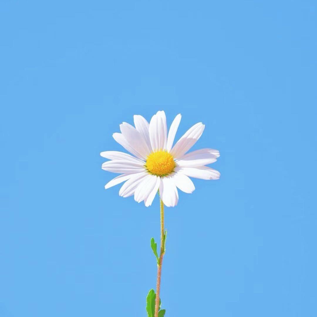 坤先生Art
