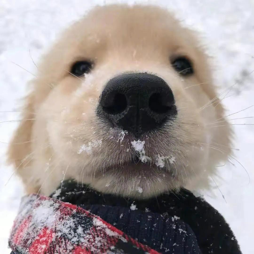 今天晚上早点睡