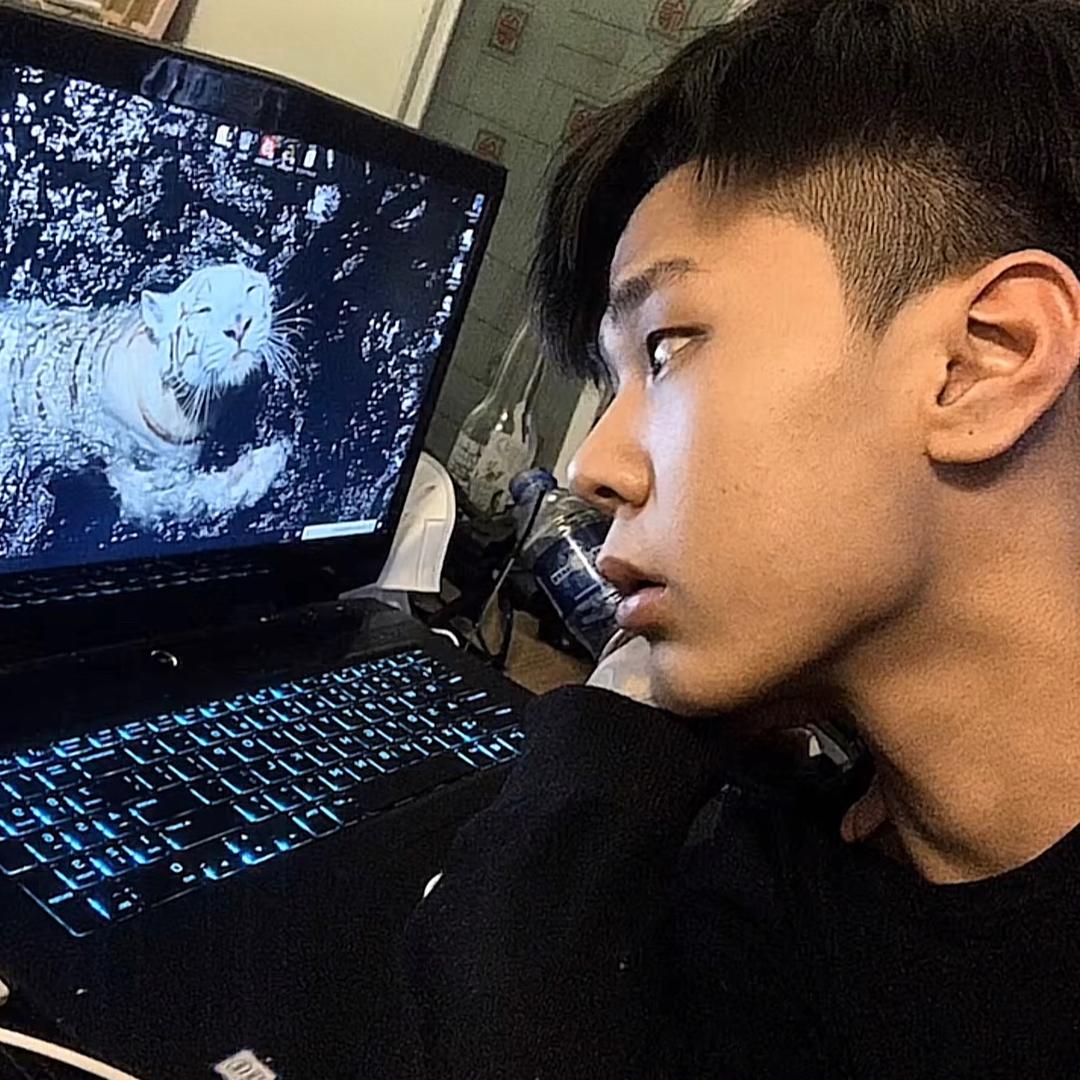 杨摆𓃲