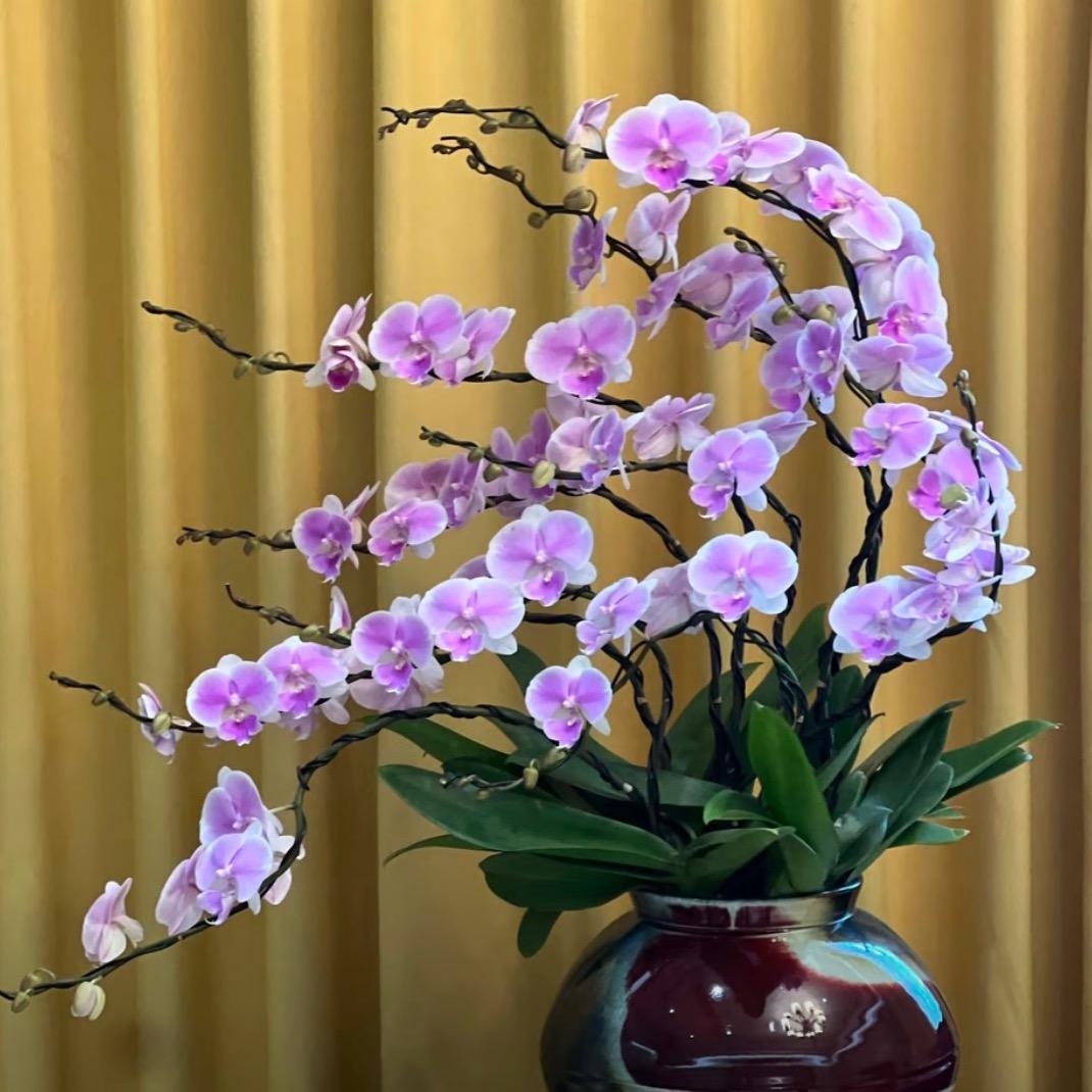 妍心花卉