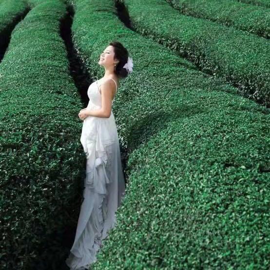 兰悦丽［全国招代理］