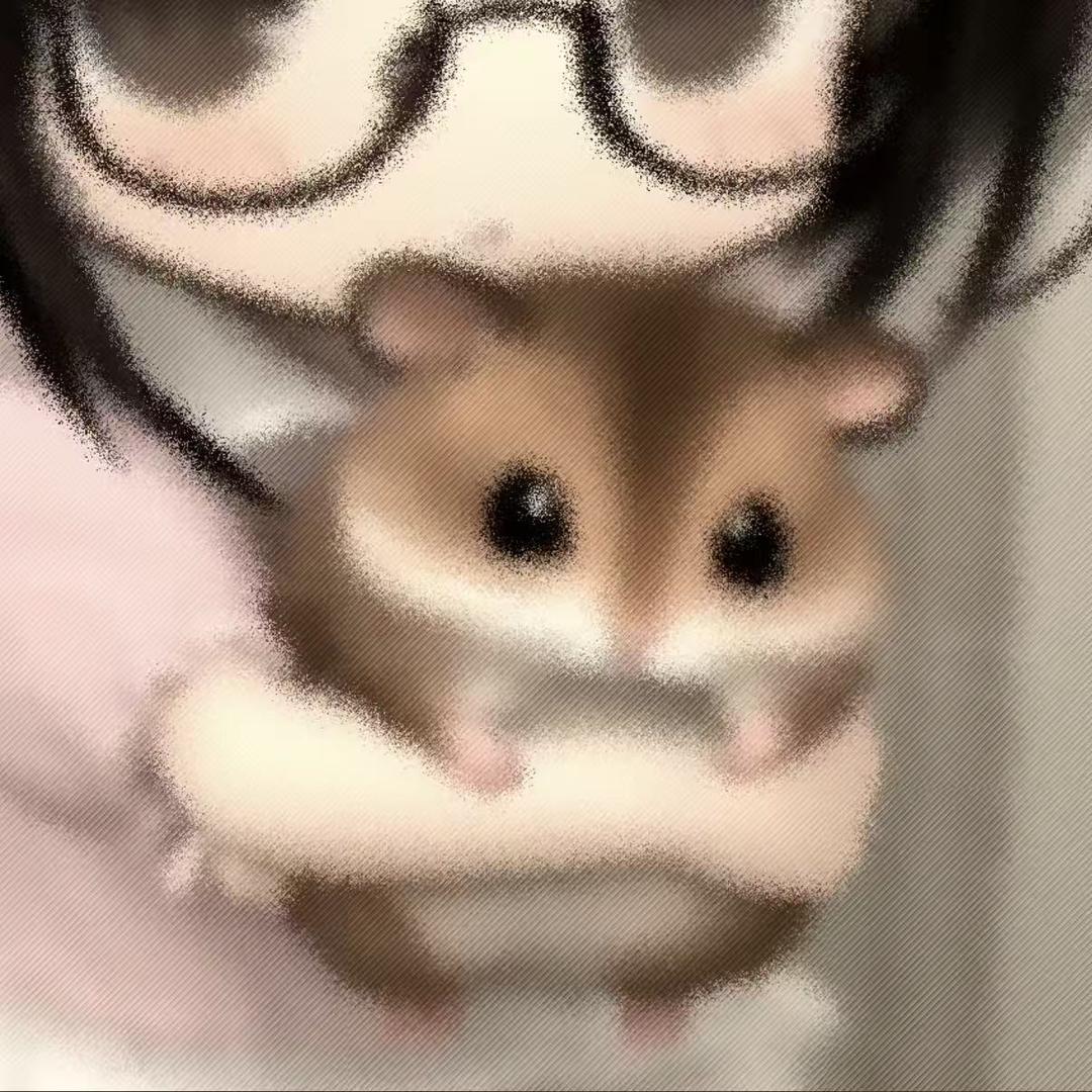 抖音知谜