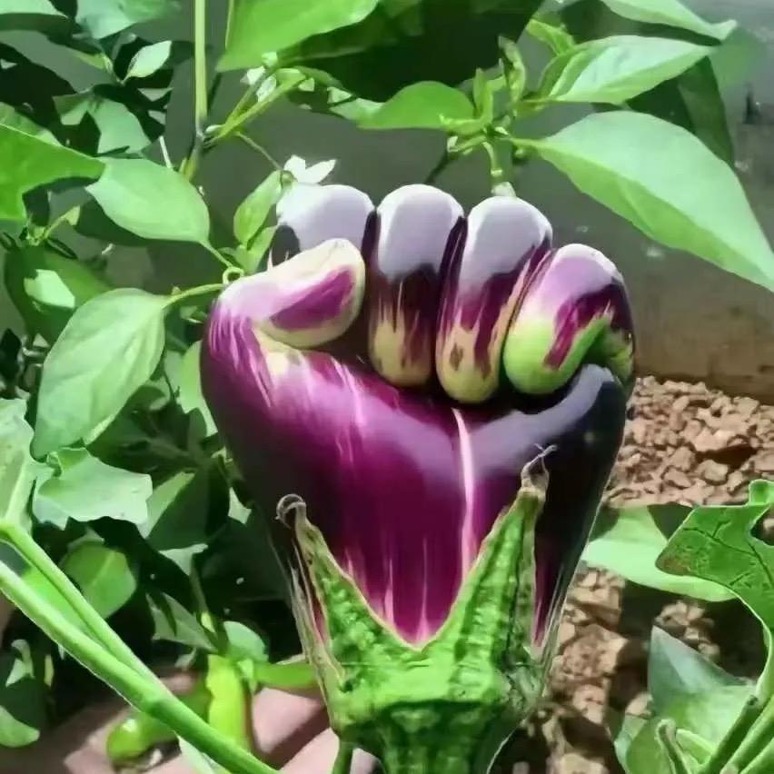 余生有你