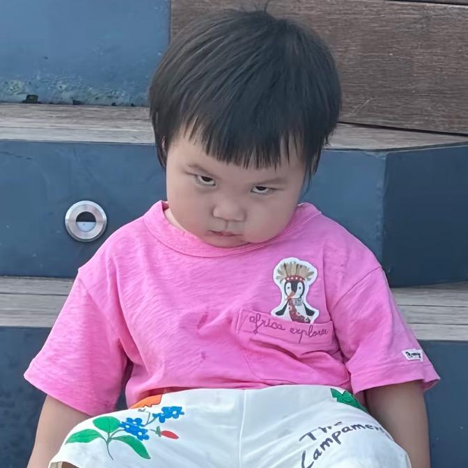 圣母重生活该被虐头像