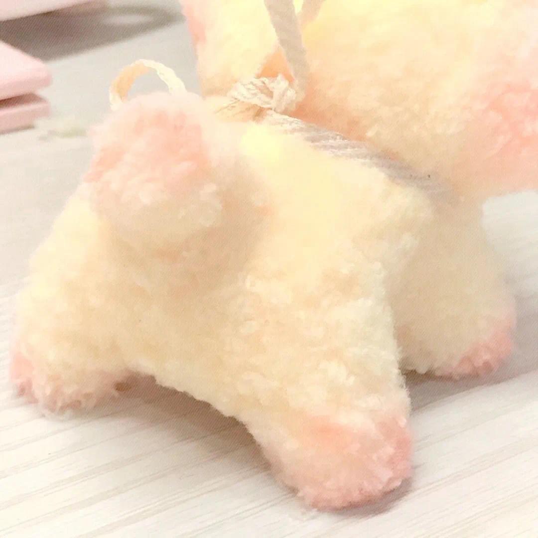不爱吃香菜