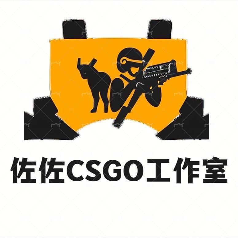 佐佐CSGO游戏出租