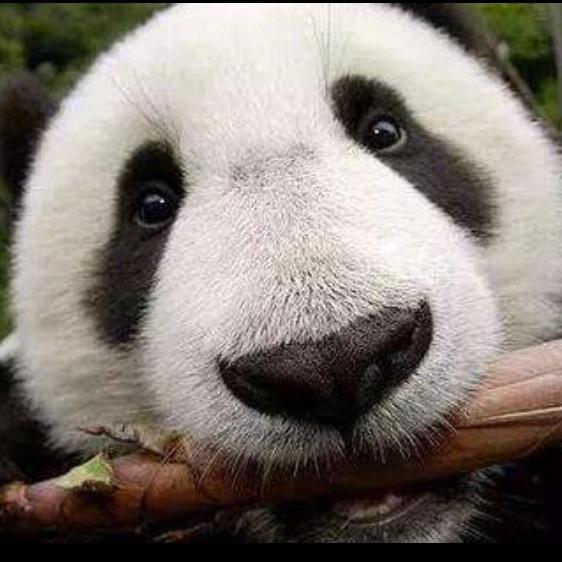你好像很好吃😋