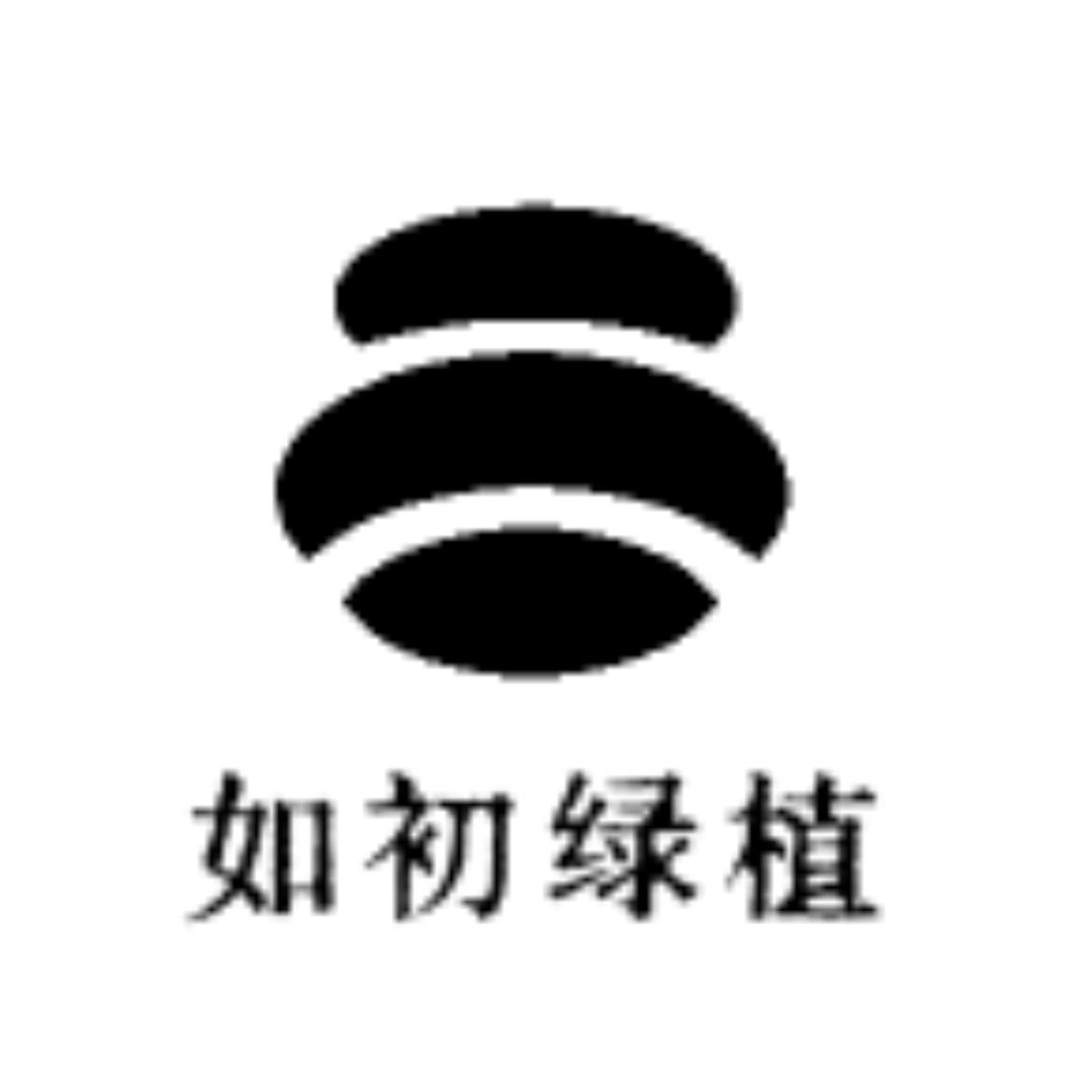 如初绿植