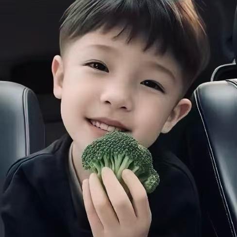 磊的