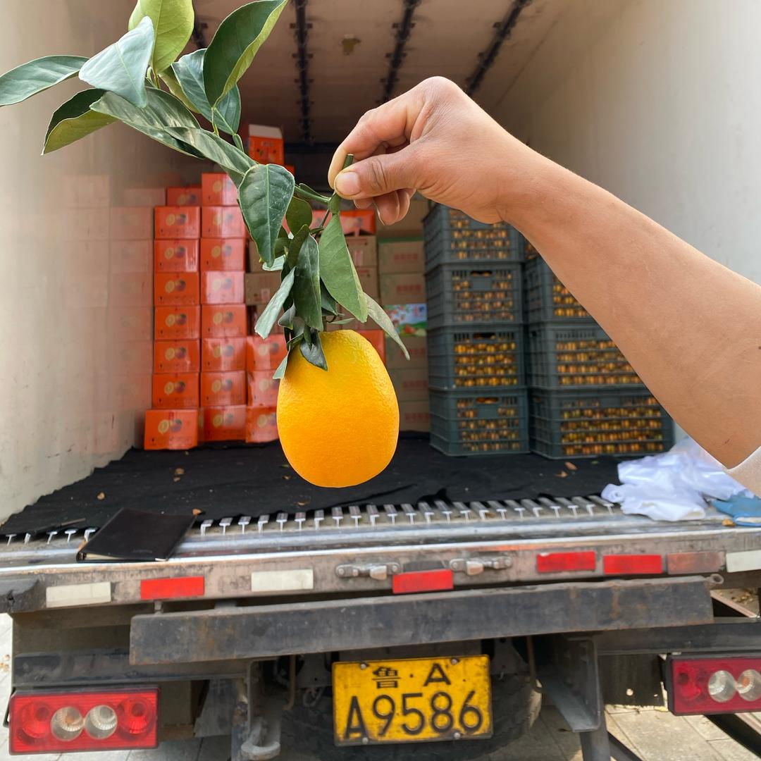 水果批发源头仓-阳谷南湖店