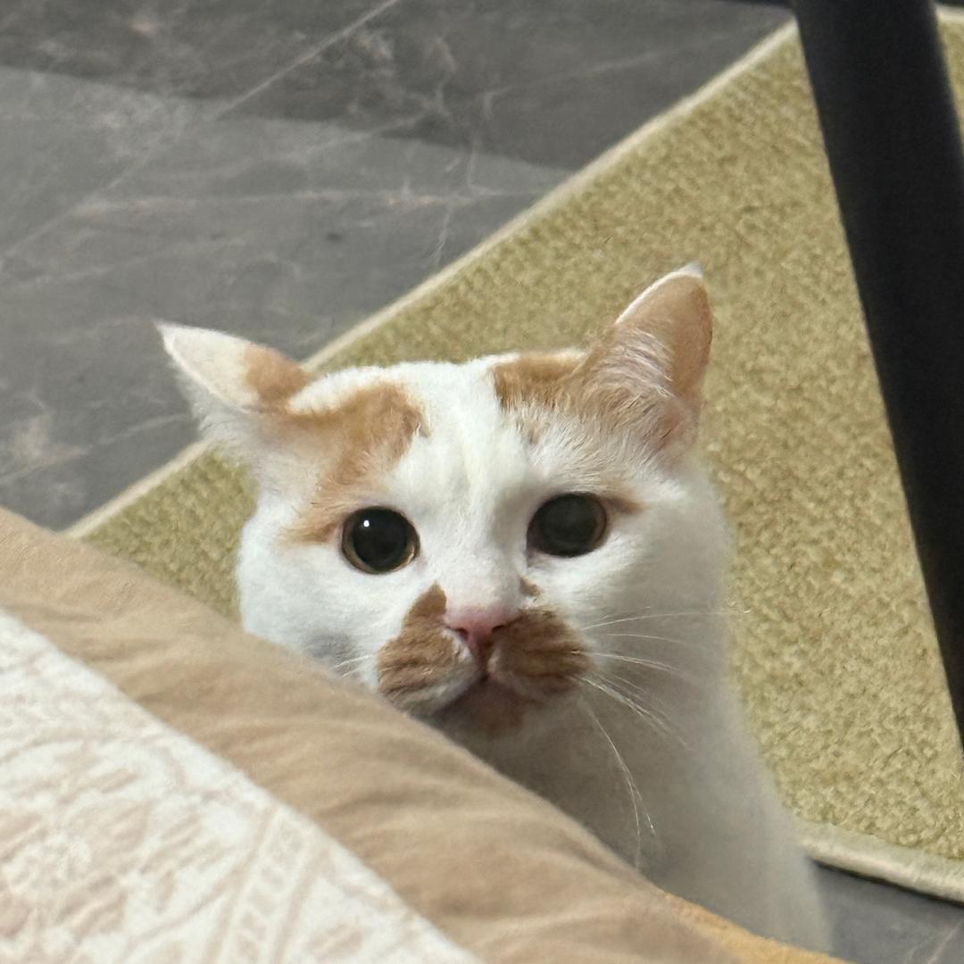 虫我