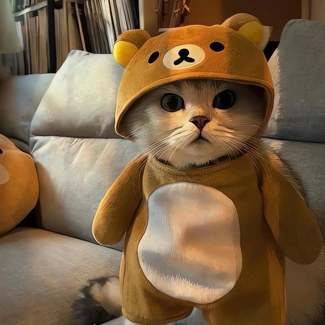 @His。