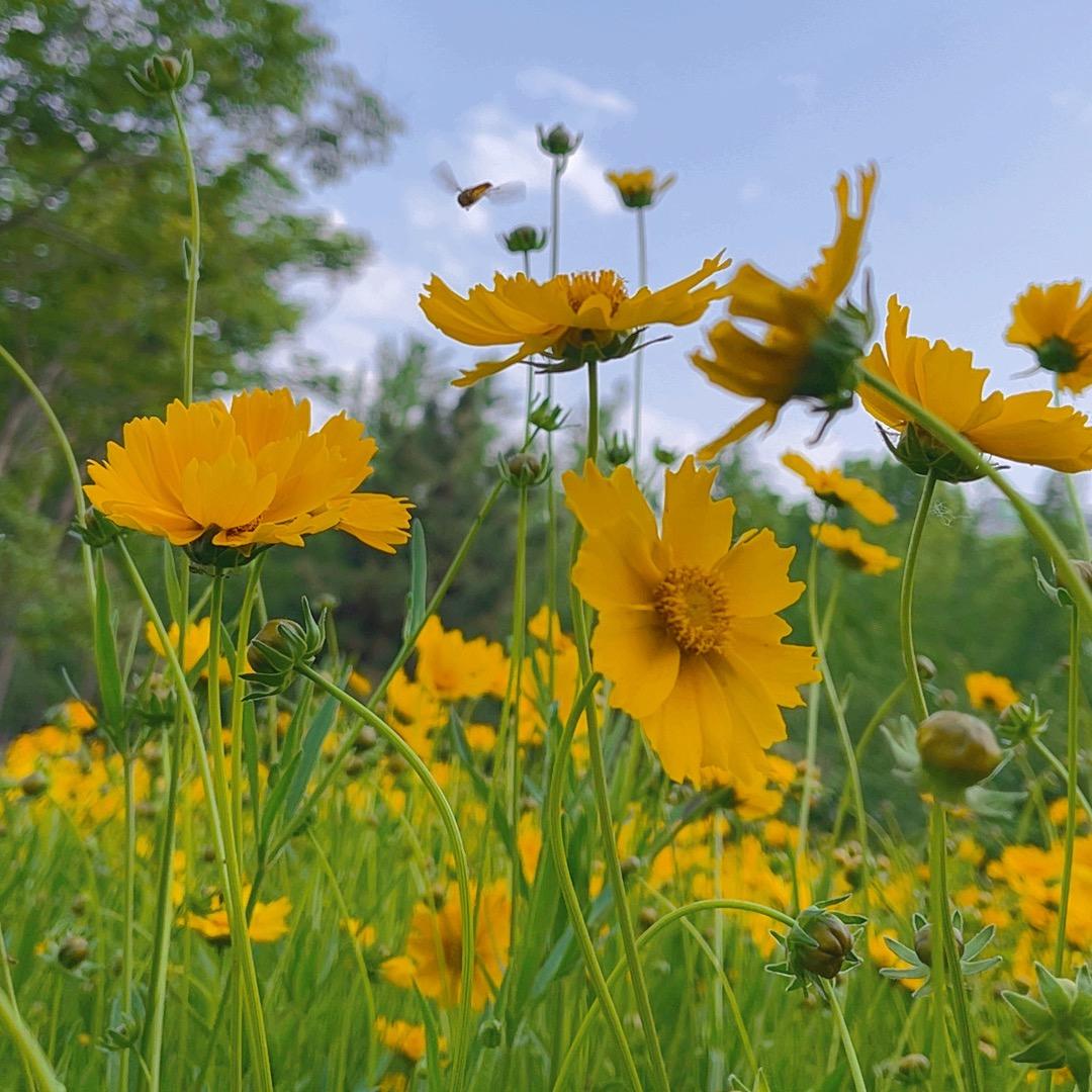 换个不好听的昵称