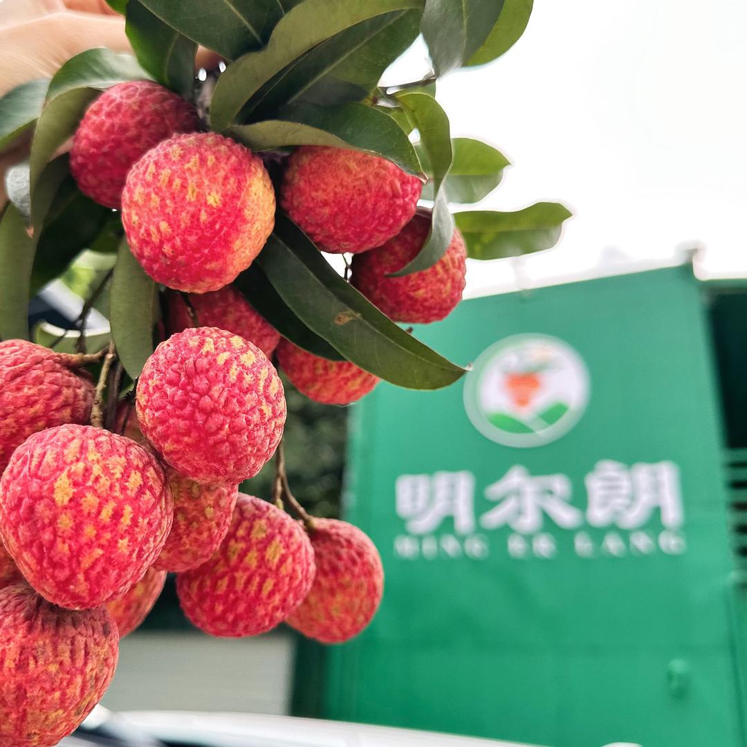 东莞市明尔朗农业产品店