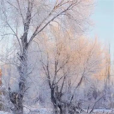 冬天里的一把火🔥