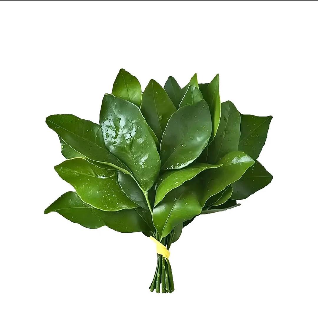 漁