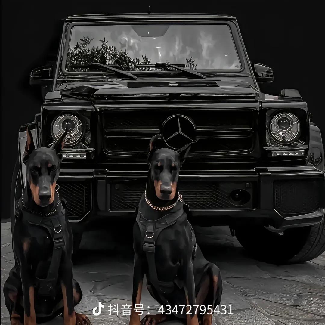 倾心🎁等级🎁沙画折扣店