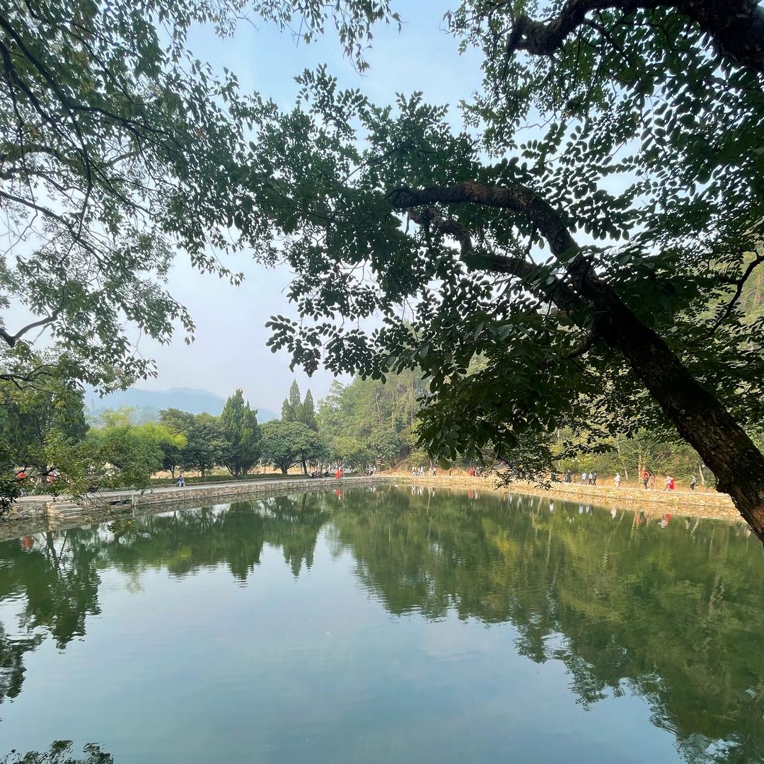铁柱呀