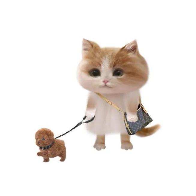 猛踹瘸子那条坏腿（纯恶意）