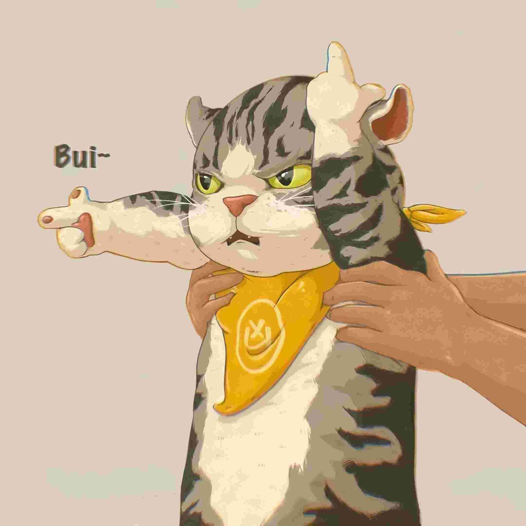 @cc