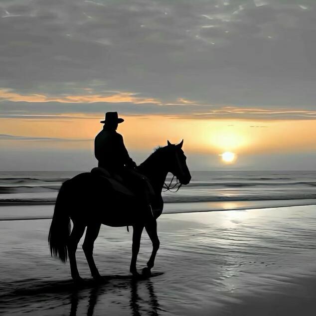 青海马晓明农业服务有限公司企业店