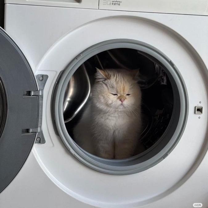 不会玩战雷的圆仔