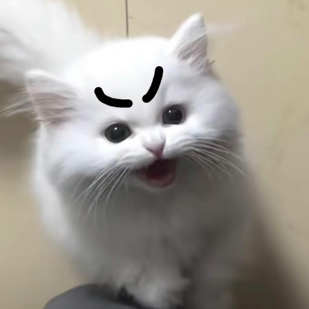 我无敌啦