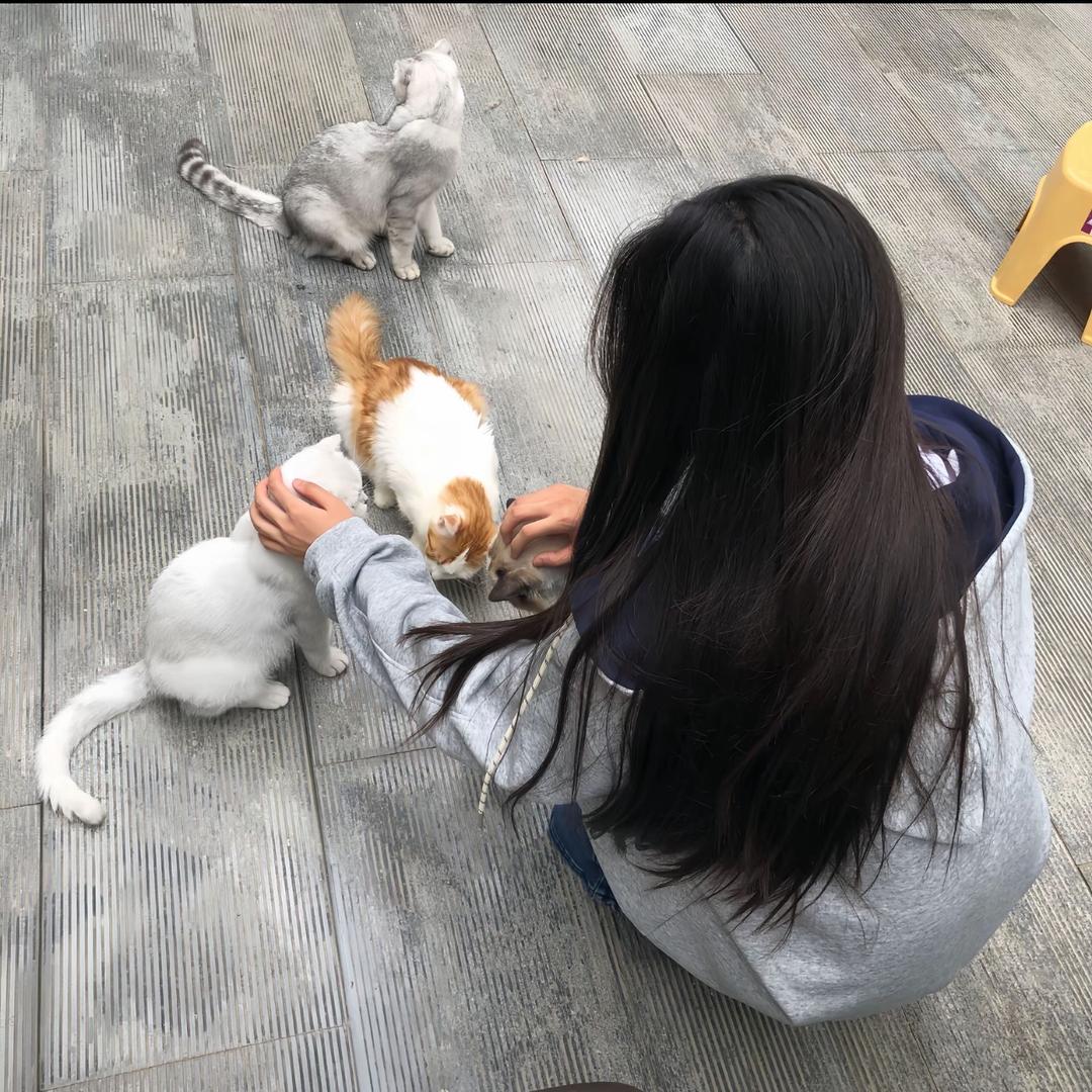 呆呆.^