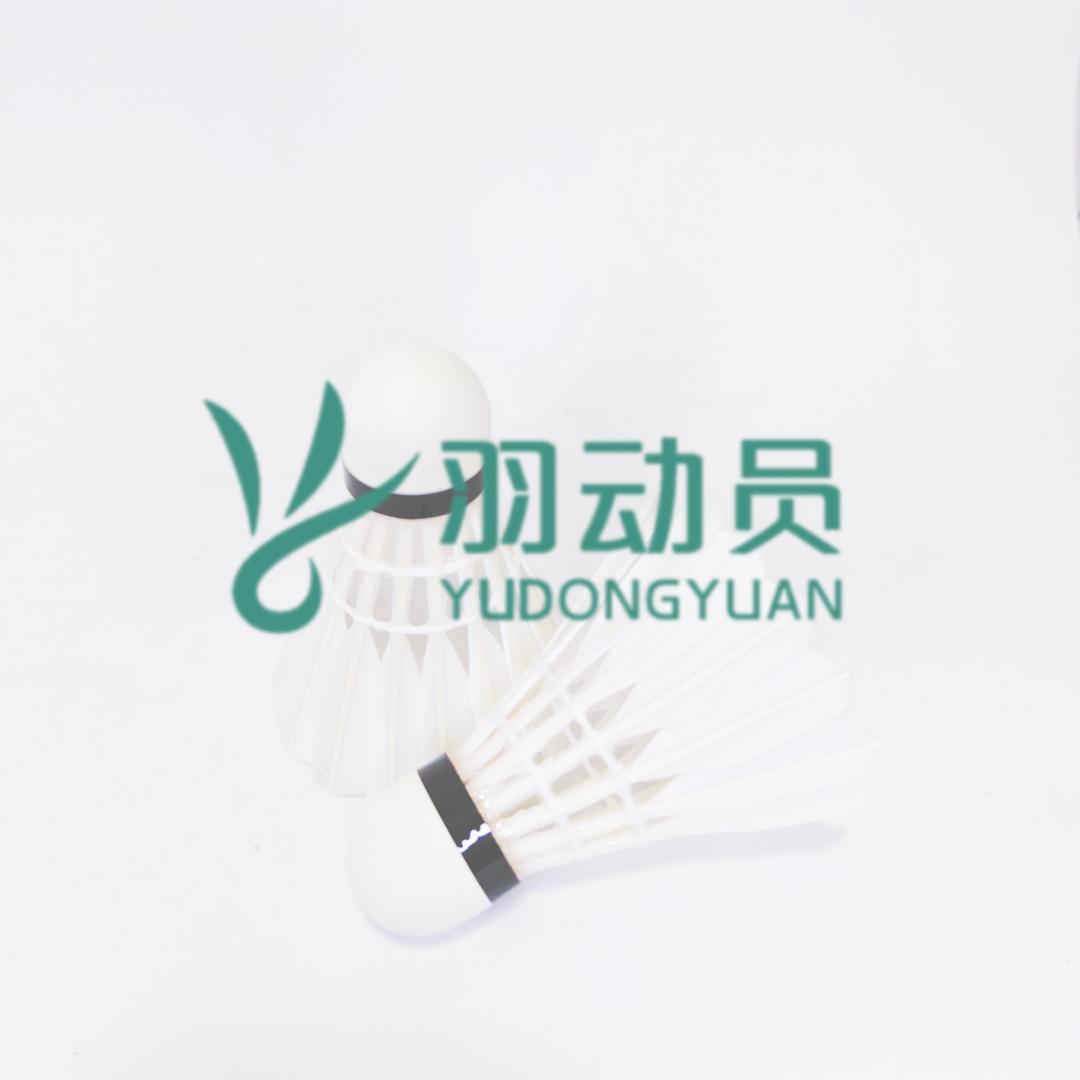 羽动员体育授权直播账号