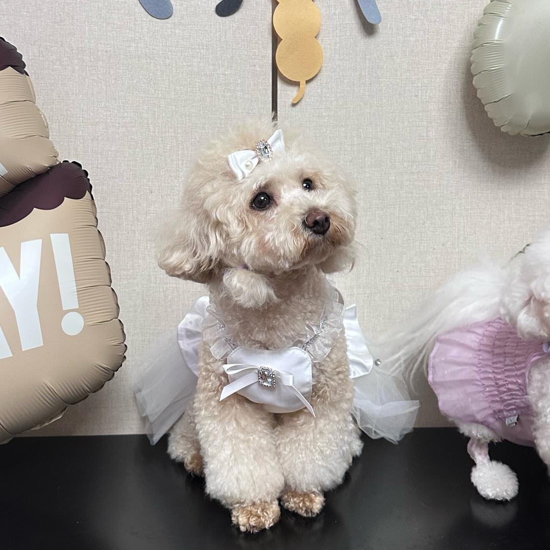 没头脑和不高兴