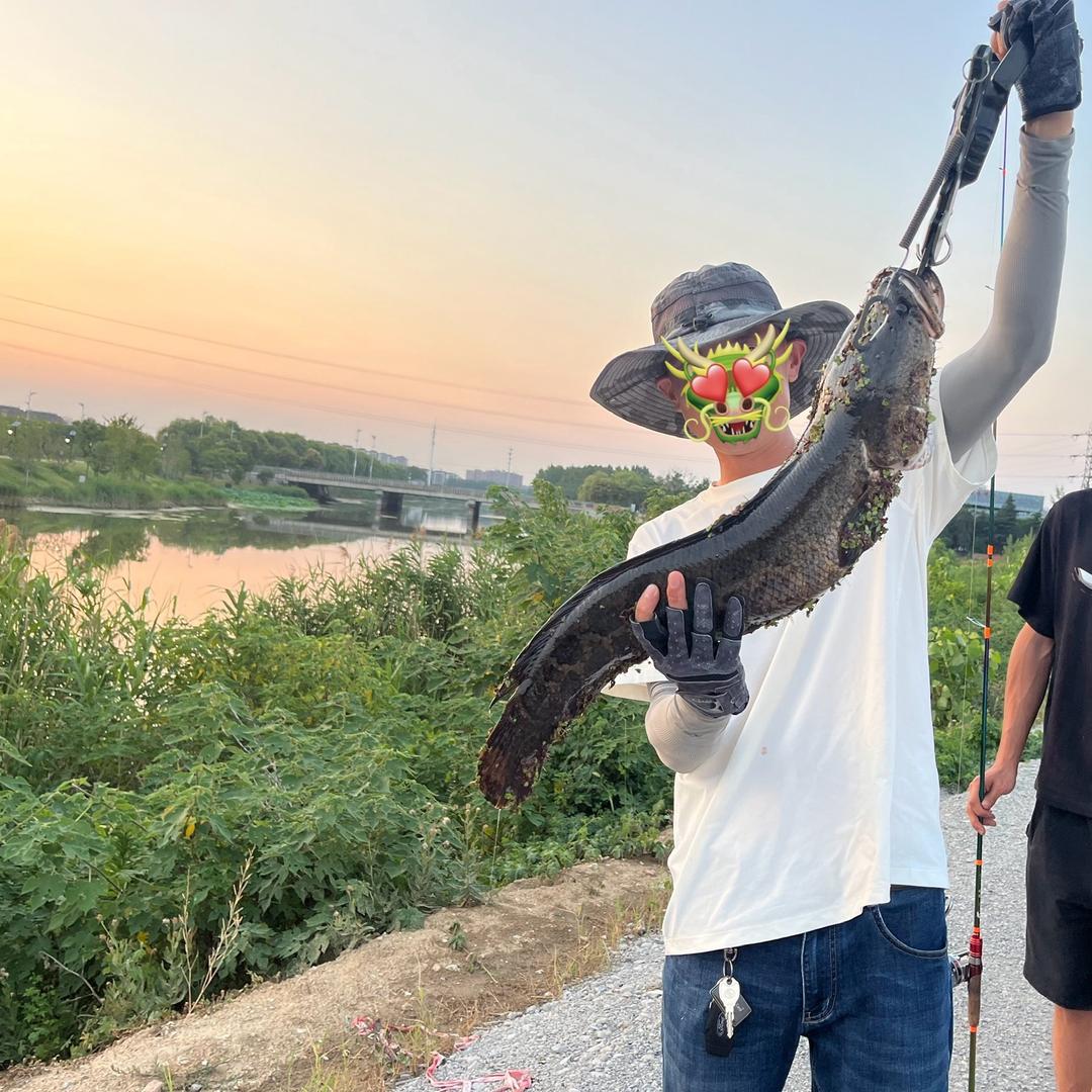🎣阿龙雷强