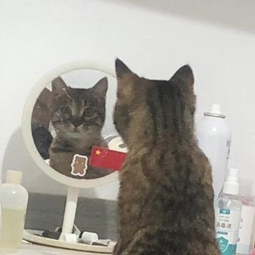 终是没能感动你。