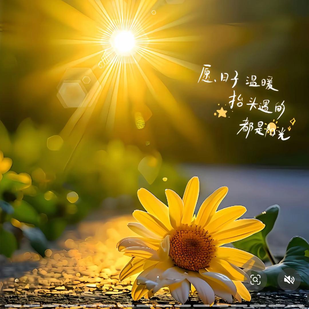 阿萍电商分享