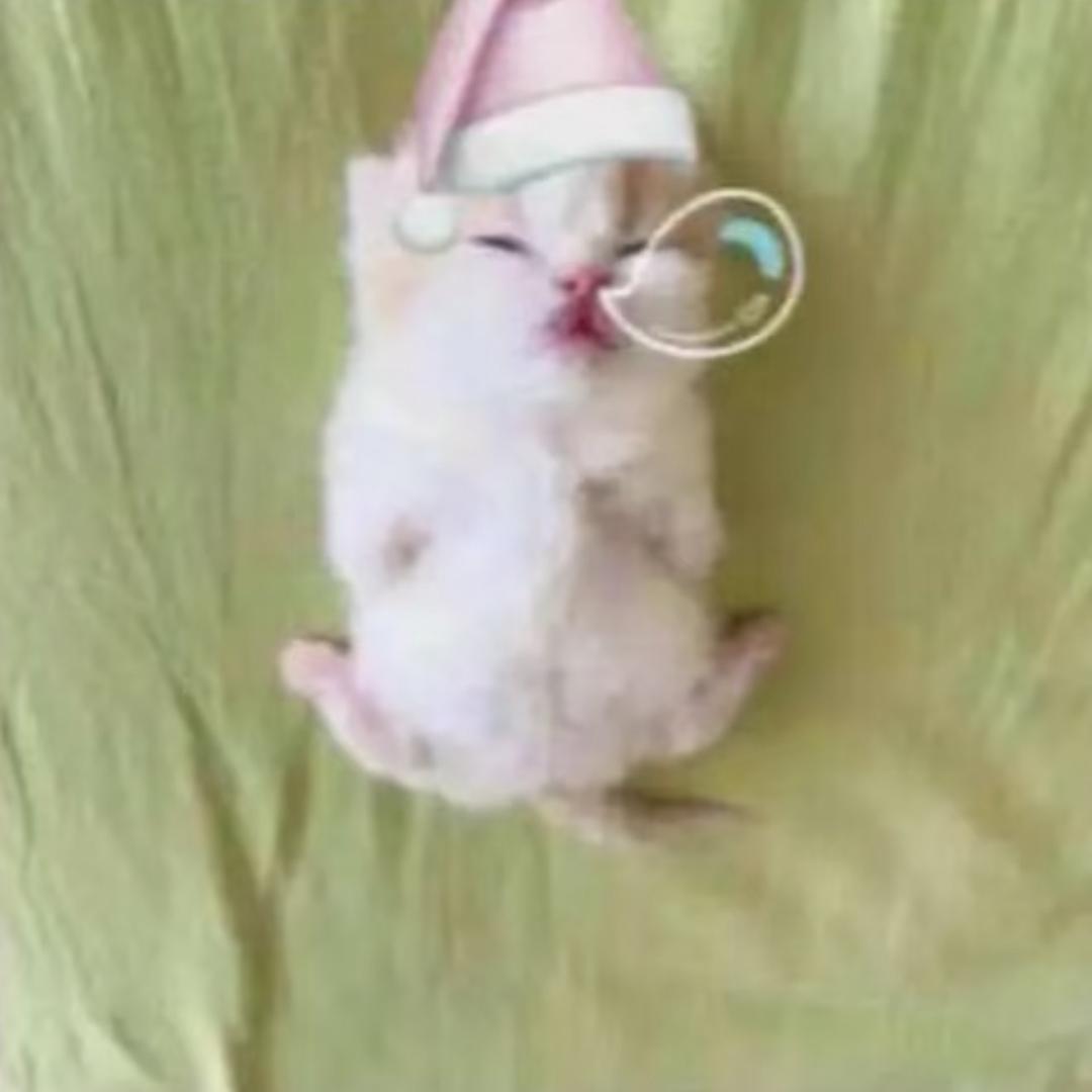 淡淡的