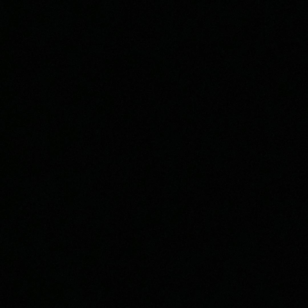 9️⃣🪿9️⃣🪿9️⃣🪿9️⃣