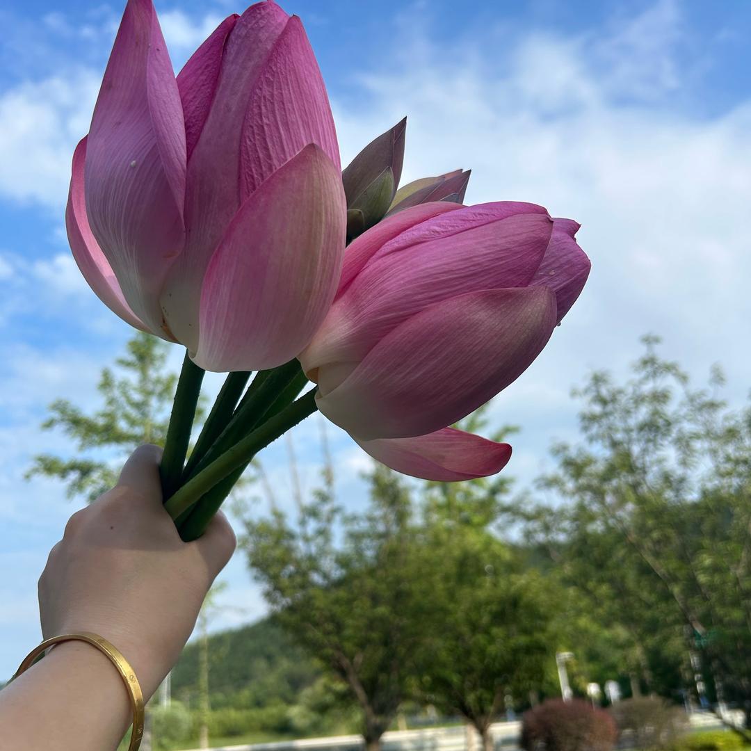 叮当_小凡麻麻👩🏻