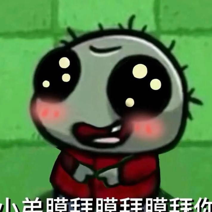 上海（团队招人）