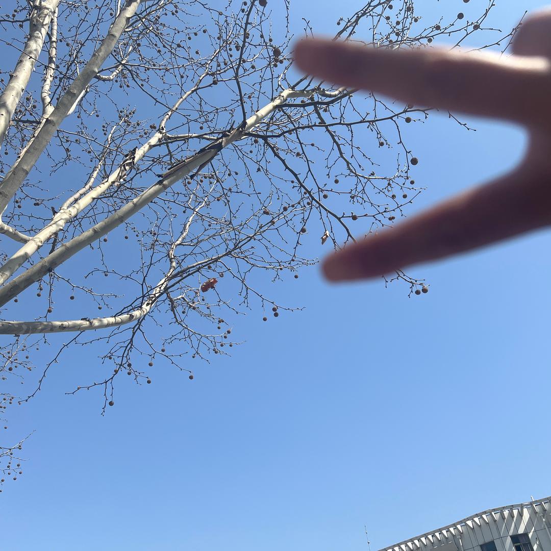 小小飞