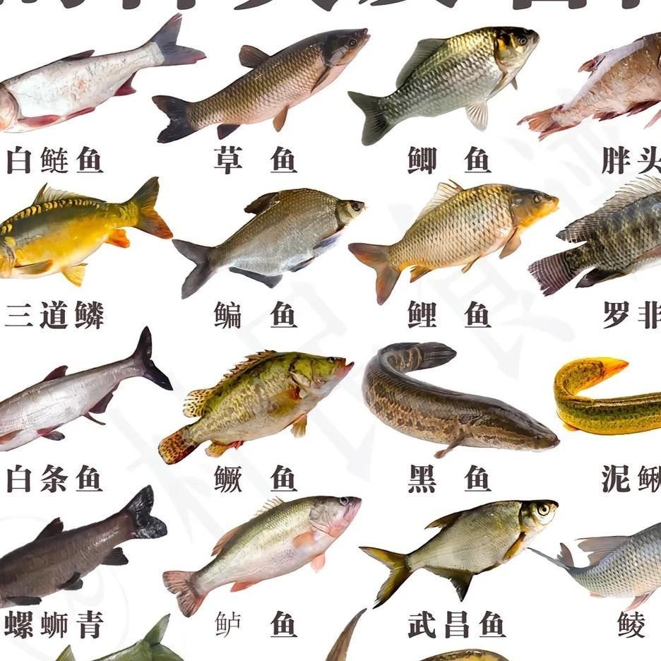 东东1号百货店铺