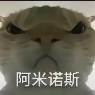 鼠王跑刀（三角洲行动）